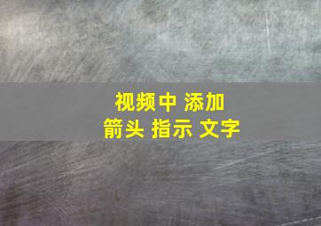 视频中 添加 箭头 指示 文字